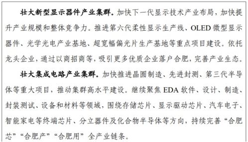 合肥 以人工智能应用软件开发为引擎，赋能支柱产业高质量发展